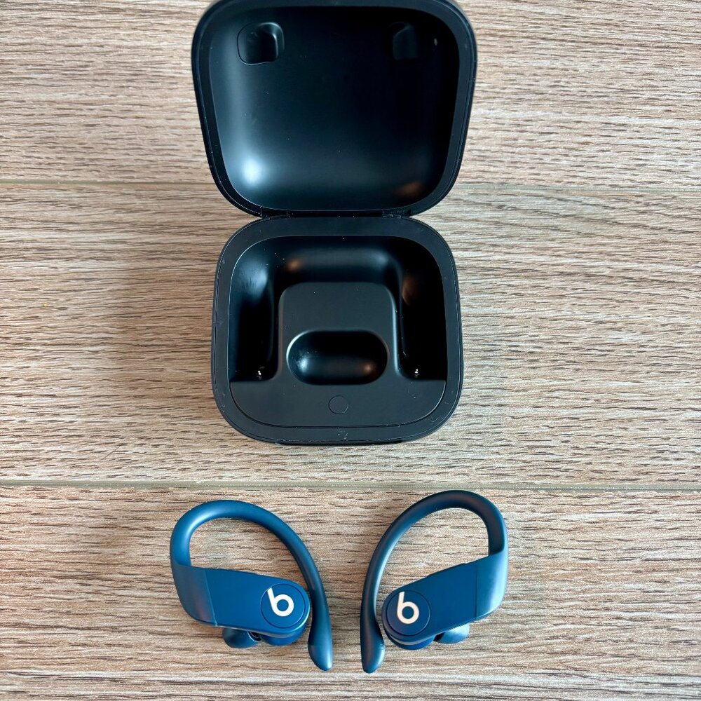 Blue Beats Powerbeats Pro Wireless Earbuds A2048